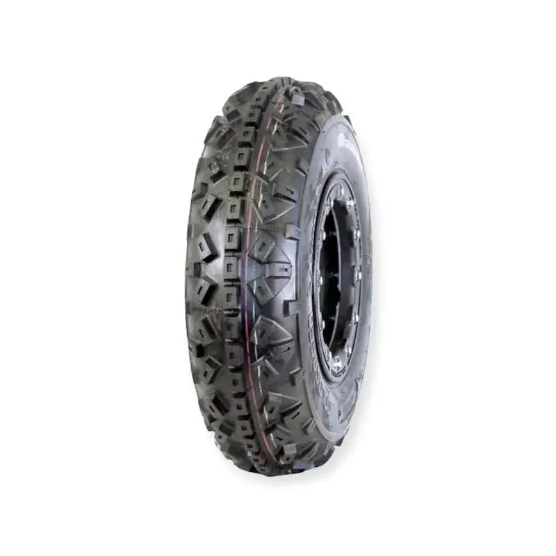 PNEU AVANT 10&prime; GOLDSPEED SX BLEU (tendre) 20X6X10 (6PR 22J BLUE E4) (20610) Certifié