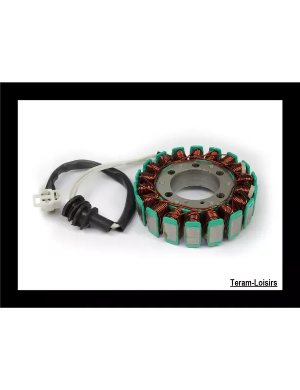 Stator Allumage Alternateur pour Yamaha YZF R6 de 1999 2000 2001 2002 Satisfait Ou Remboursé