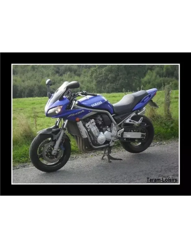 Super Prix 4 Pipes Admission pour YAMAHA 1000 FAZER FZS de 2001 2002 2003 2004 2005 / NEUF