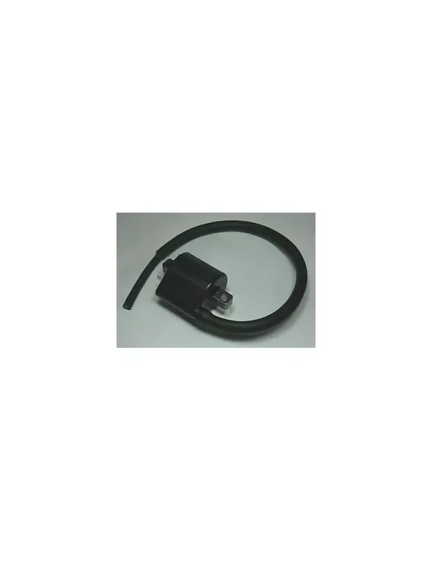 Super Prix Bobine d'allumage TOURMAX Suzuki SV650 N/S