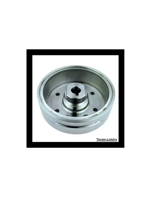 Certifié Rotor Volant Magnétique pour Arctic Cat 400 4x4 Automatic de 2003 à 2008
