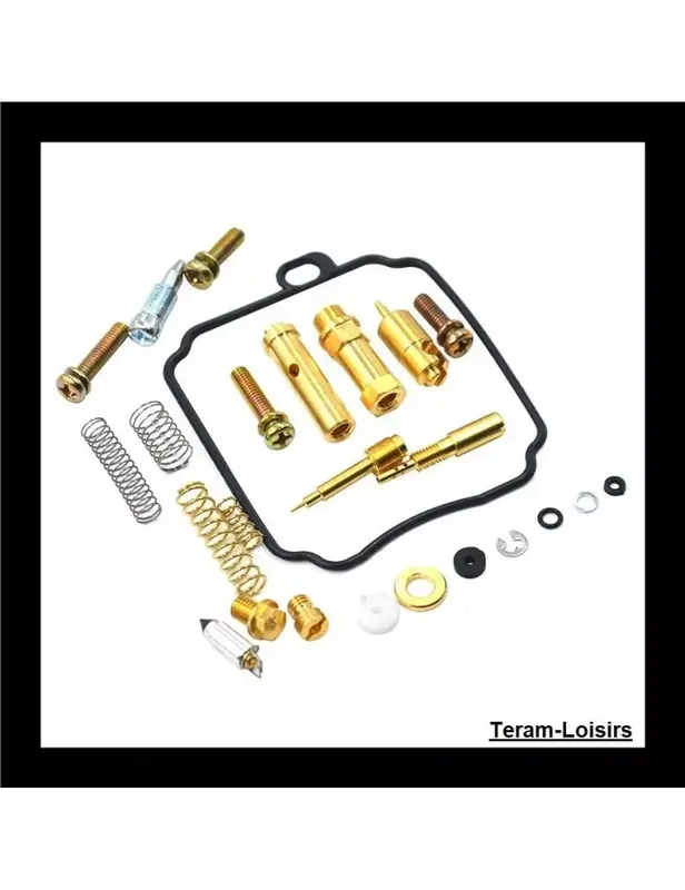 Affaire À Saisir Kit Carburateur pour YAMAHA Virago XV 250 toutes années