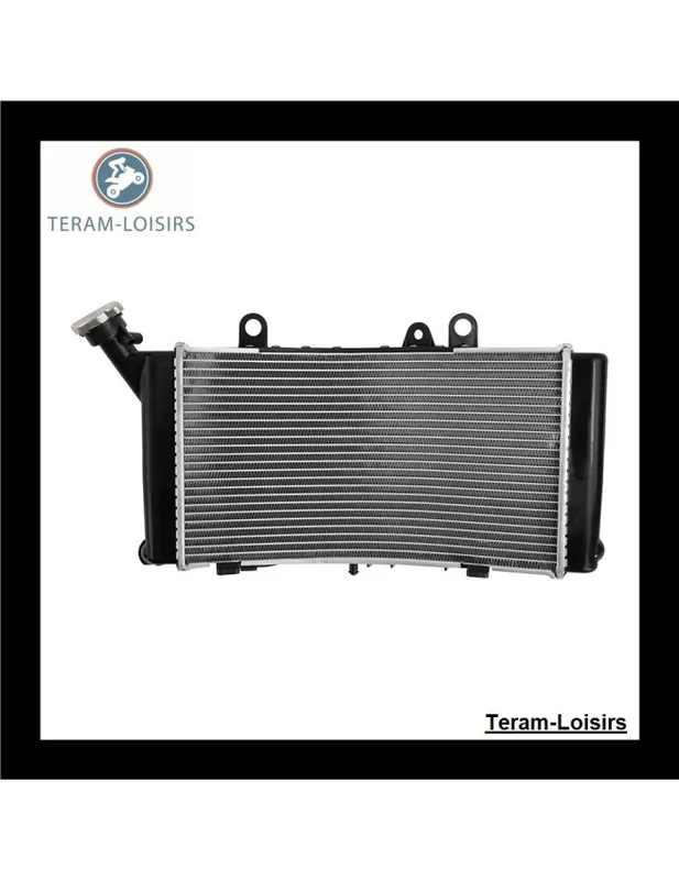 Soldes Radiateur pour BMW F 750 GS / F 750GS / F 750 GS de 2018 2019 2020 2021