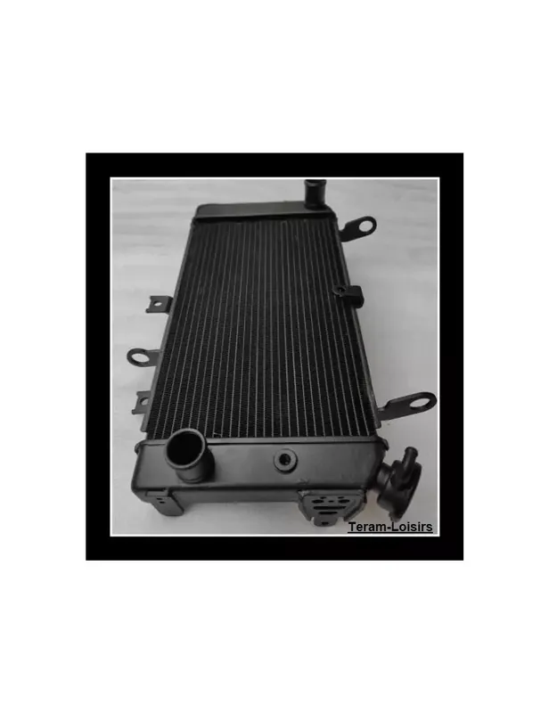 Radiateur pour Ducati Monster 821 de 2014 2015 2016 2017 2018 2019 2020 Vente Directe
