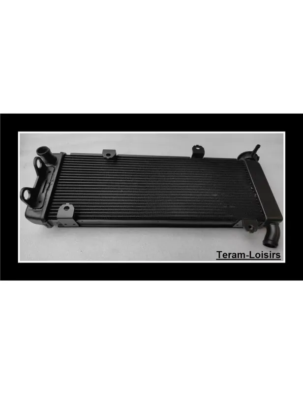 Meilleur Prix Radiateur pour Kawasaki VERSYS KLE 650 ABS de 2015 2016 2017 2018 2019 2020 2021 2022 / Type 39061-0712
