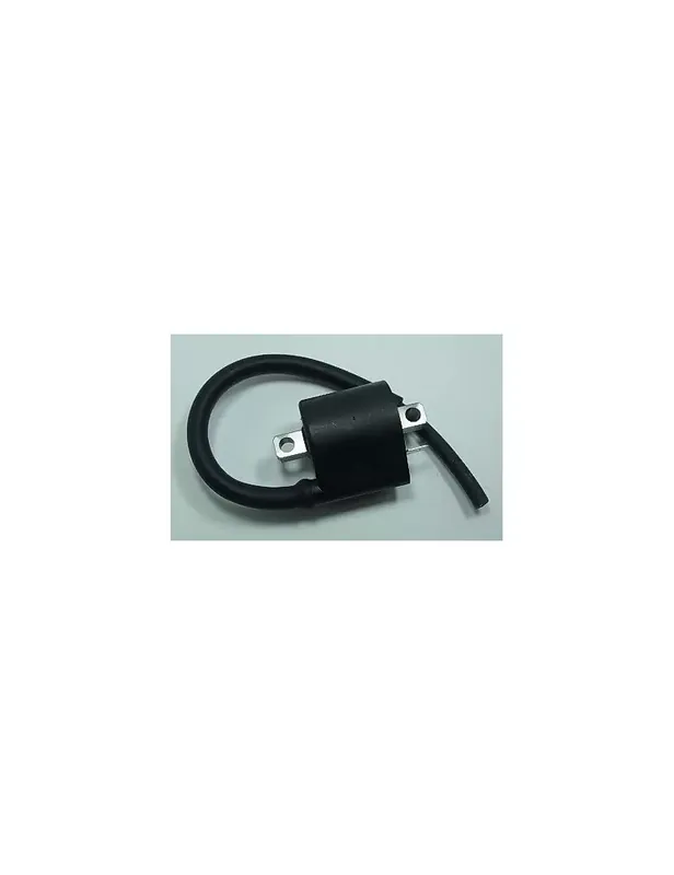 Quantité Limitée Bobine d'allumage TOURMAX Suzuki DR350S