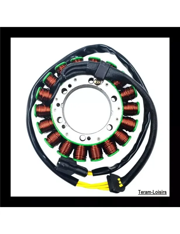 Acheter Direct Stator Alternateur pour BMW F800 GS 800 F de 2009 2010 2011 2012 2013 2014