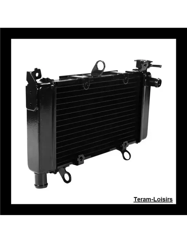 Radiateur pour Honda CB 500 F / X de 2013 2014 2015 NEUF Livraison Express