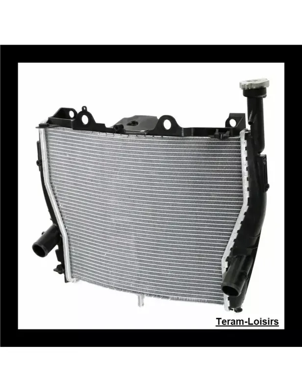 Radiateur pour BMW S1000RR / S1000 RR / S 1000 RR de 2009 2010 2011 2012 2013 2014 2015 2016 2017 2018 2019 NEUF Retour Gratuit