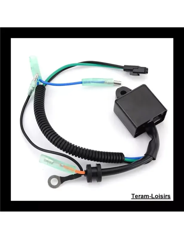 Offre Du Jour Boitier Allumage CDI pour Suzuki DT 15 / 15 HP de 1986 1987 1988 1989 1990 1991 1992 1993 1994 1995 1996 1997 1998 1999à 2012
