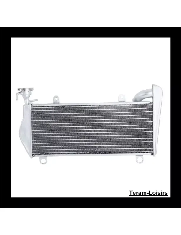Radiateur pour Ducati Panigale 899 / 1199 de 2013 2014 2015 / NEUF Expédié Aujourd'hui
