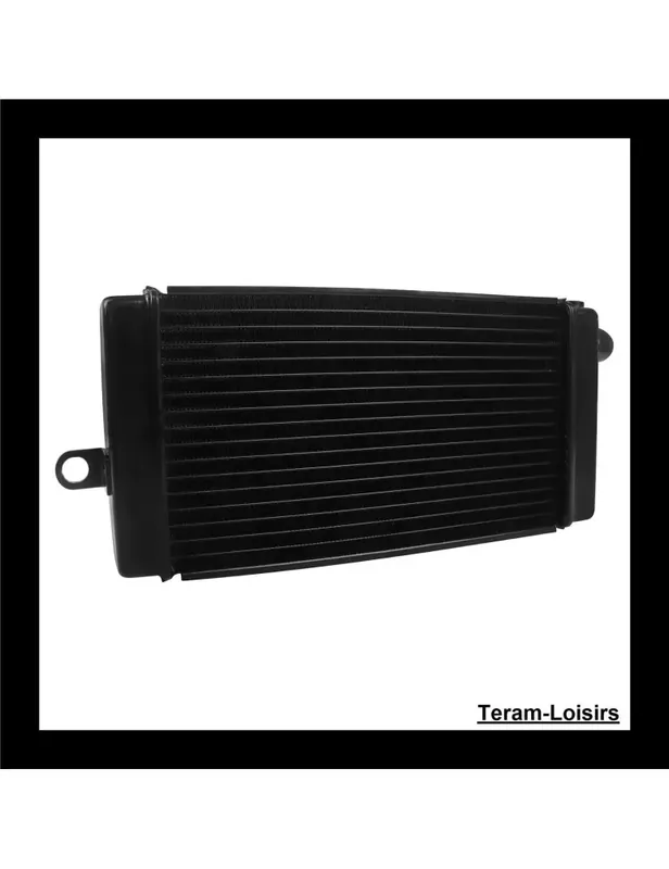Meilleur Choix Radiateur pour Honda Shadow VT 750 de 1998 1999 2000 2001 2002 2003 NEUF