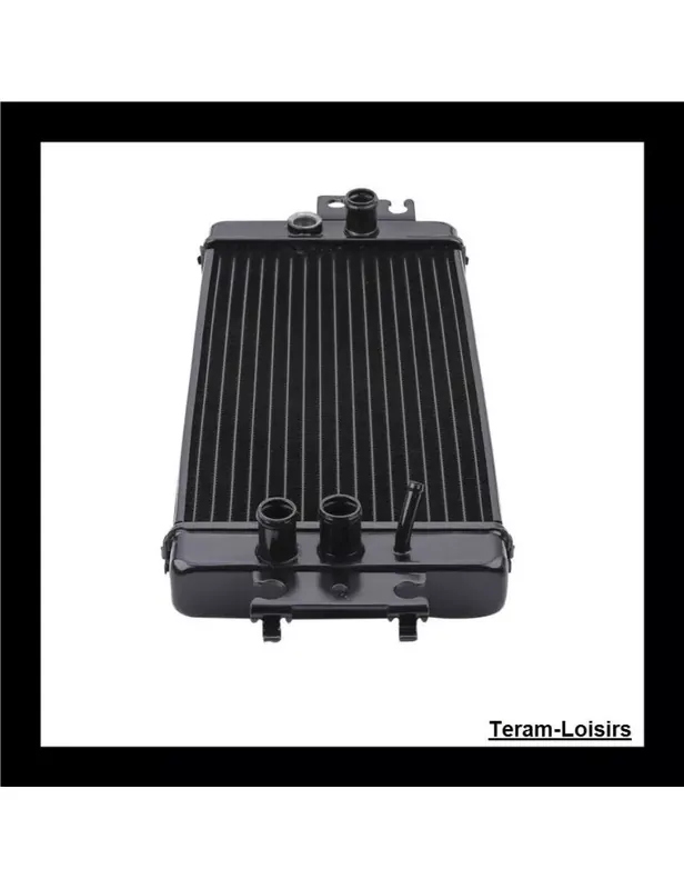 Soldes Radiateur pour SUZUKI VZ 800 de 2005 2006 2007 2008 2009 NEUF