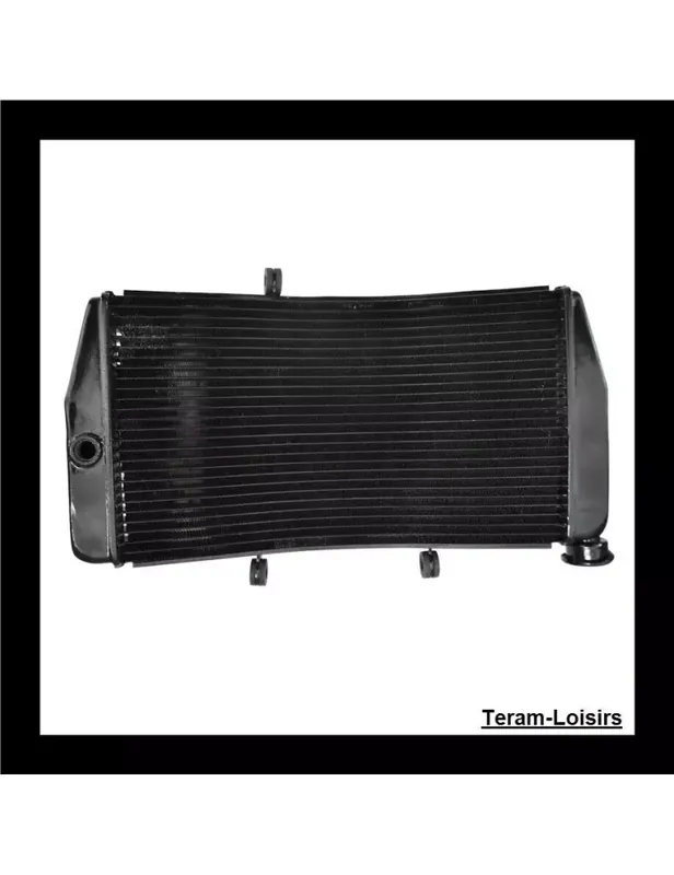 Radiateur pour HONDA CBR 900 929 RR Fireblade de 2000 à 2001 / Type 19010-MCJ-00 NEUF Promotion Saisonnière