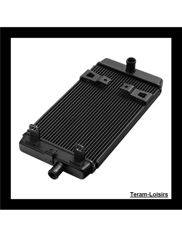 Radiateur pour Triumph BONNEVILLE T100 900 DB01 de 2017 2019 2019 2020 2021 2022 2023 Commande En Gros