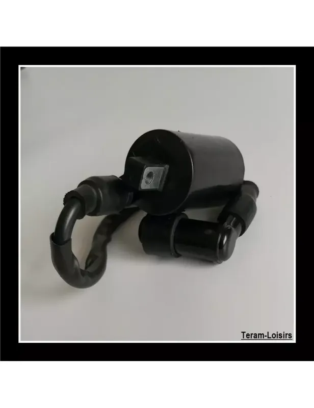 Bobine d'Allumage pour Qianjiang / QJ / Keeway Supershadow 250 Cruiser Nouvel Arrivage