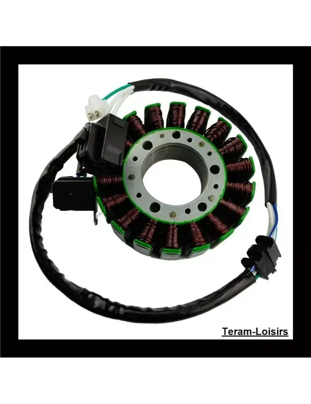Stator Allumage Alternateur pour Yamaha T-max 500 de 2008 2009 2010 2011 Nouveauté