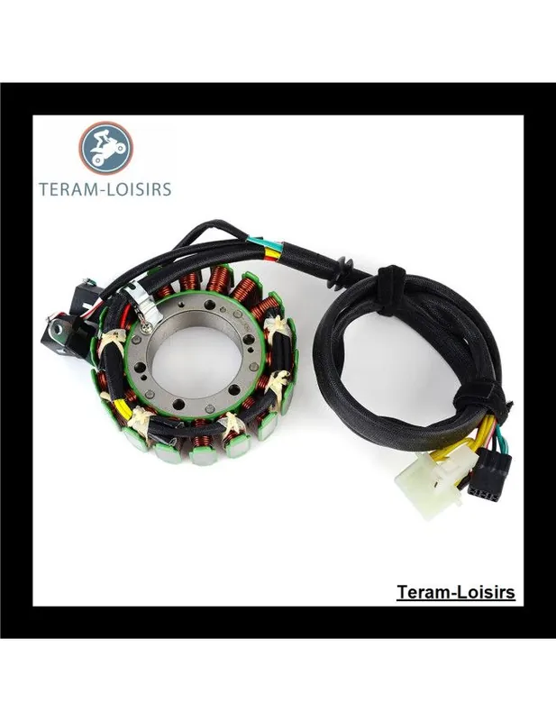 Stator Alternateur pour Polaris 800 Switchback EFI L/C à partir de 2012 NEUF Populaire