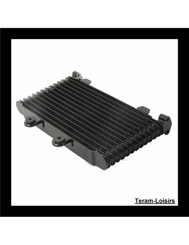 Radiateur Huile pour Suzuki GSF 1200 BANDIT de 1996 1997 1998 1999 2000 / NEUF Meilleur Prix