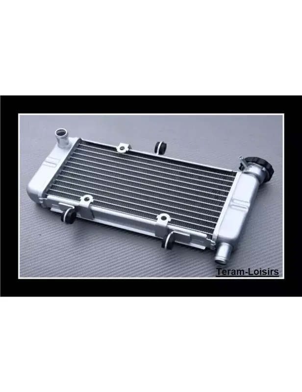 Acheter Direct Radiateur pour Honda CBR 250 R de 2011 2012 2013 / NEUF