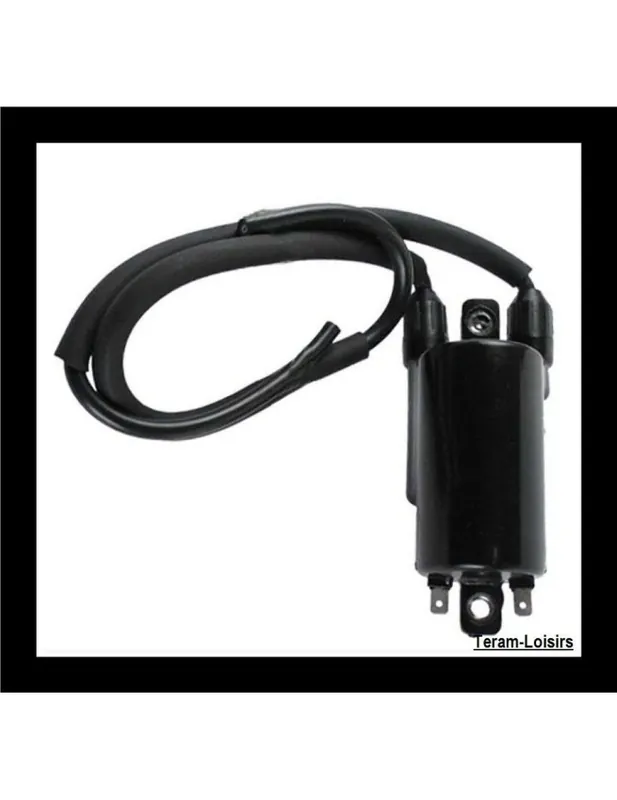 Meilleure Vente Bobine Allumage pour Kawasaki GPZ 900 de 1985 1986 1987 1988 1989 1990
