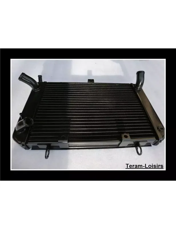 Radiateur pour SUZUKI GSR 600 de 2005 2006 2007 2008 2009 2010 2011 2012/ Type 17710-44H00-000 / NEUF Achetez Aujourd'hui