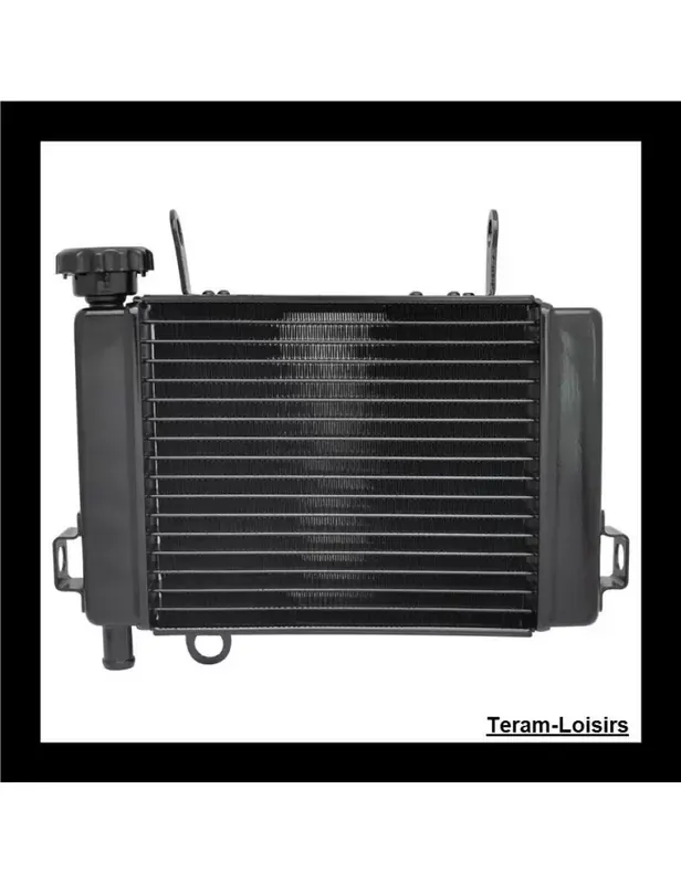 Offre Exclusive Radiateur pour Honda CBR 125 de 2003 2004 2005 2006 2007 2008 2009 / NEUF