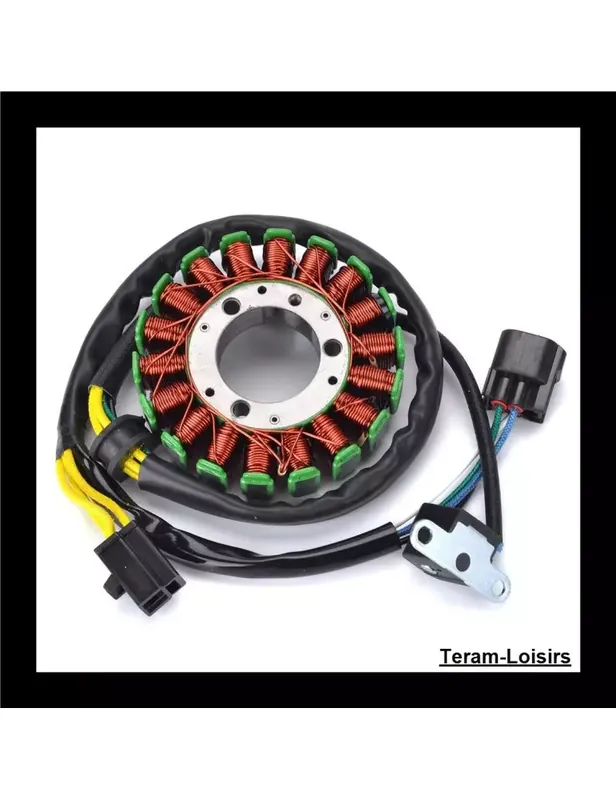 Stator Allumage pour Suzuki DRZ 250 de 2001 à 2007 Haute Qualité