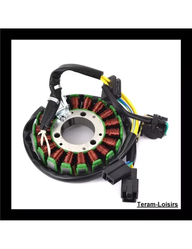 Petit Prix Stator Allumage pour Suzuki GN 125 de 1982 à 2001