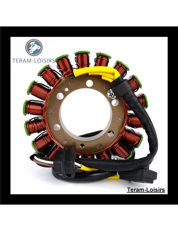 Stator Alternateur pour Arctic Cat Norseman 3000 F/C EFI à partir de 2018 NEUF Vente Directe