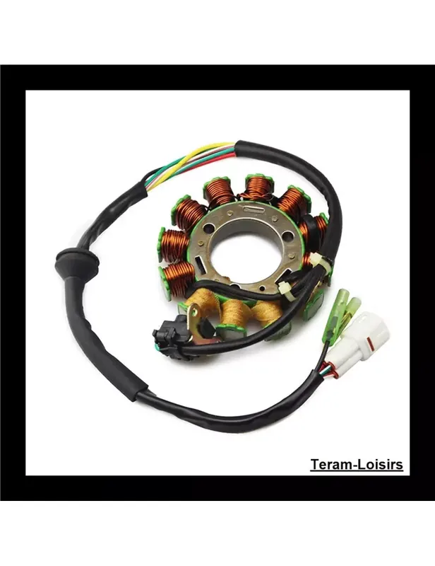 Expédition Rapide Stator Allumage pour Yamaha 3GG-85510-00