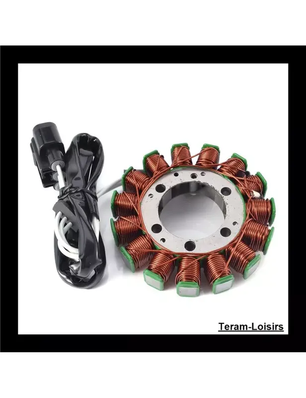 Stator Allumage pour Kawasaki ZX 636 Ninja ZX 6R ABS 30th Anniversary Edition de 2015 Expédition Rapide