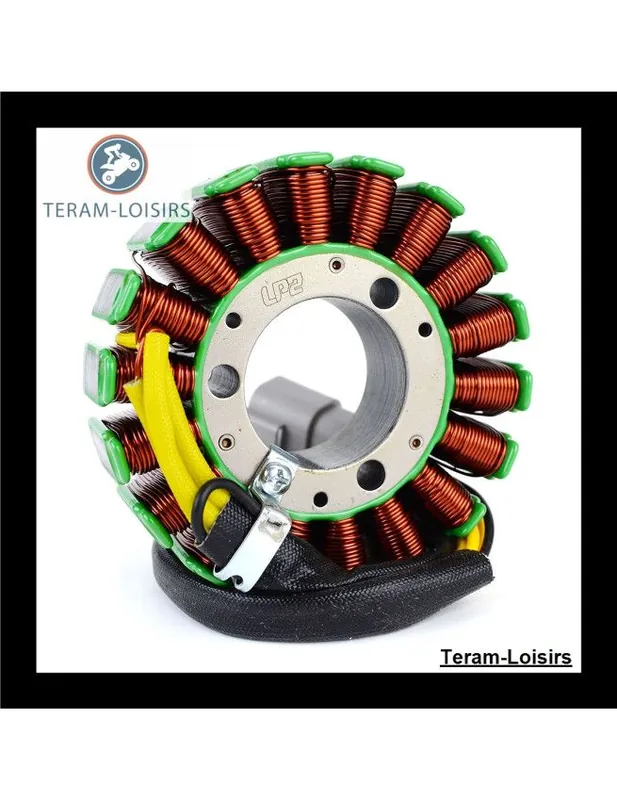 Produit De Marque Stator Alternateur pour Sea-Doo 3D RFI 800 cc à partir de 2005 NEUF