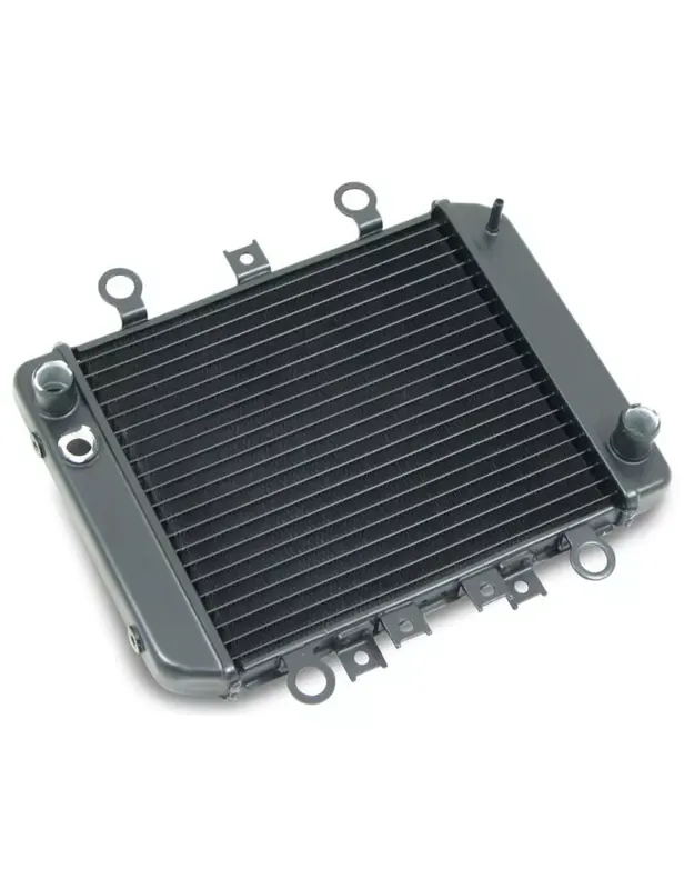 Vente Directe RADIATEUR D'EAU BIHR POUR KAWASAKI