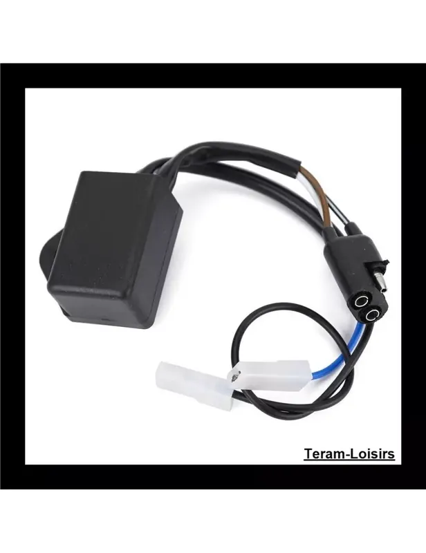 Boitier Allumage CDI pour Polaris 250 2X4 / 4X4 / 6X6 à partir de 1993 Remise