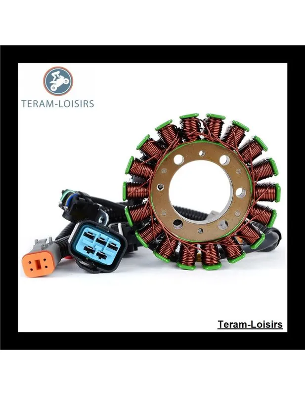 Jusqu'à Épuisement Des Stocks Stator Alternateur pour Ski-Doo MX ZX 800 R Carb de 2009 2010 NEUF