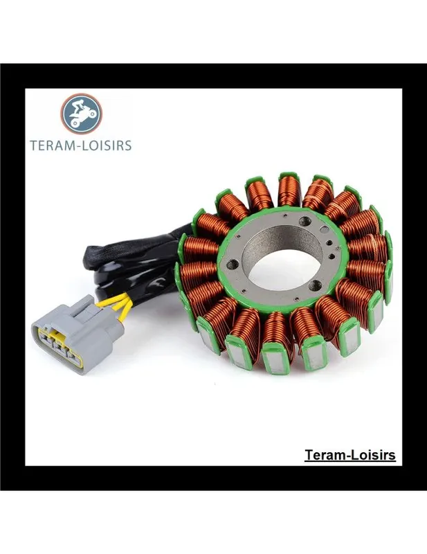 Expédié Aujourd'hui Stator Alternateur pour Lynx Rave 600 de 2012 2013 2014 NEUF