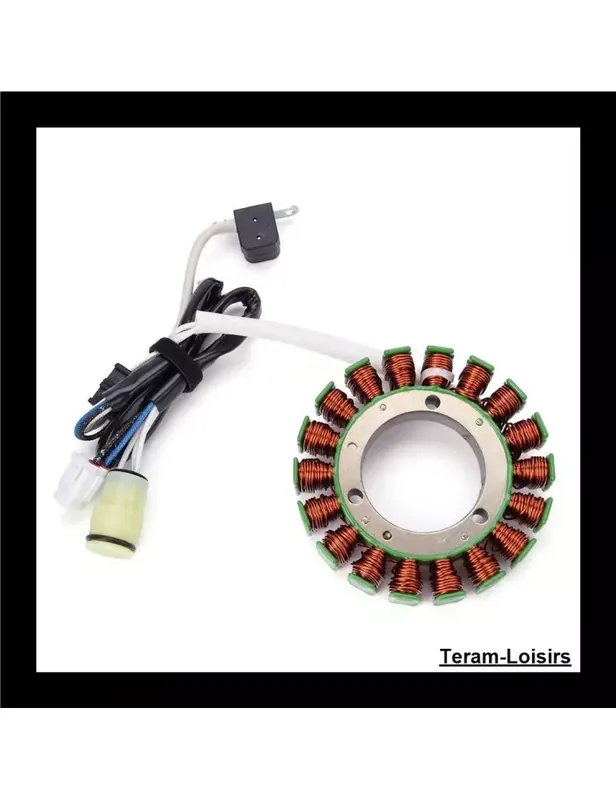 Stator Allumage pour Hisun Motors Corp USA HS 700 de 2014 à 2017 Nouvelle Collection
