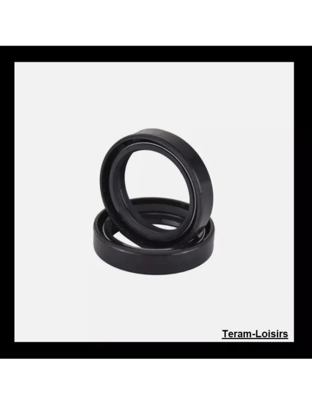 Vente Directe Joints Spy / Spi de Fourche pour Yamaha WR-F 250 de 2001 2002 2003 2004