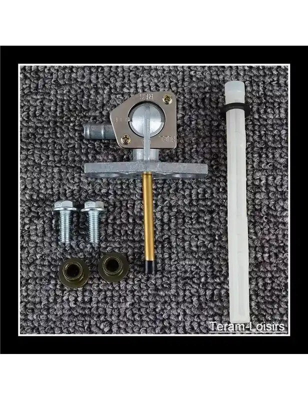 Commande En Gros Robinet Essence pour HONDA 16950-GCF-671