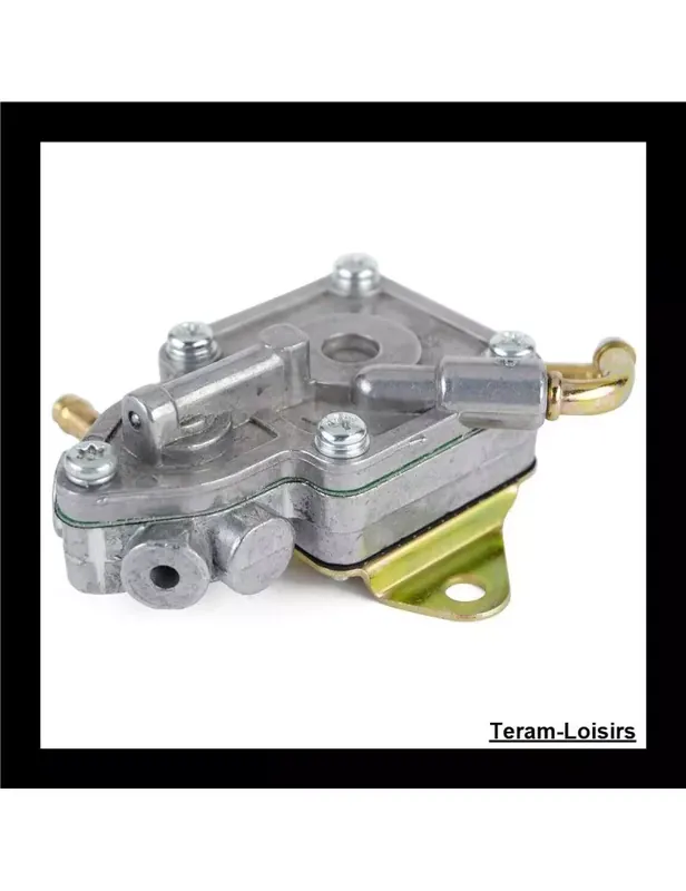 Pompe à Carburant pour Yamaha YP 250 A Majesty de 1998 et 1999 Retour Gratuit