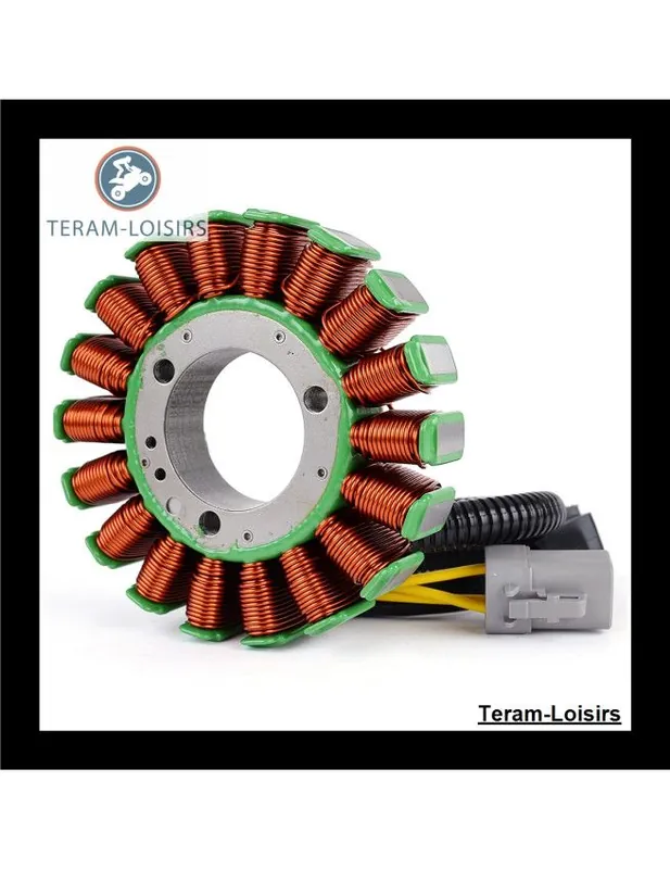 Expédié Aujourd'hui Stator Alternateur pour Ski-Doo Skandic Tundra LT V 800 4-TEC à partir de 2009