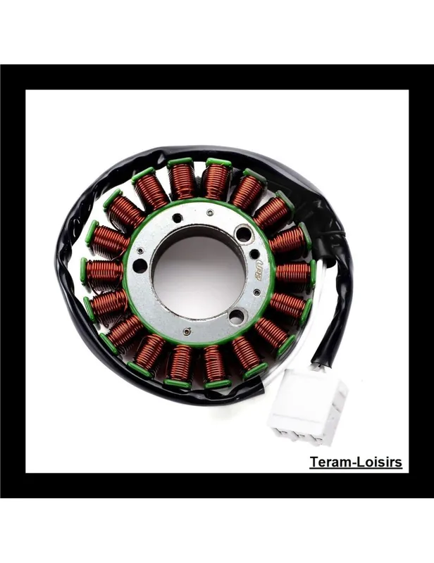 Seulement Aujourd&rsquo;hui Stator Allumage pour Yamaha FZS 1000 FAZER de 2001 2002 2003 2004 2005