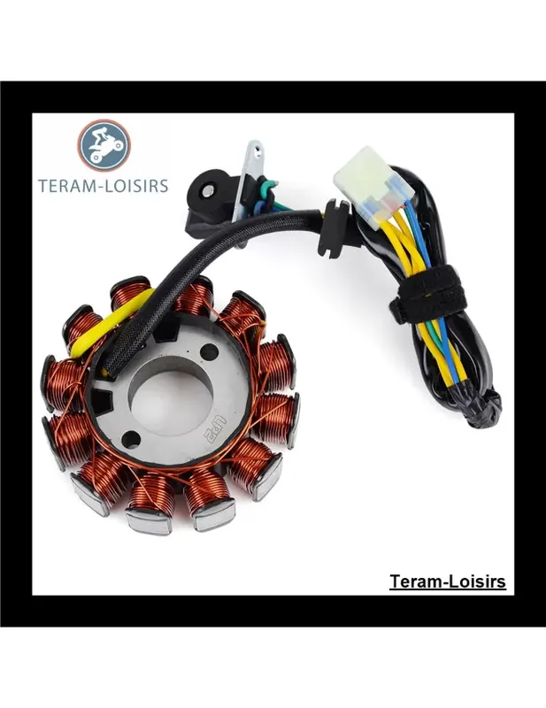 Stator Alternateur pour Polaris Sportsman 110 de 2016 2017 2018 2019 2020 NEUF Vente Flash