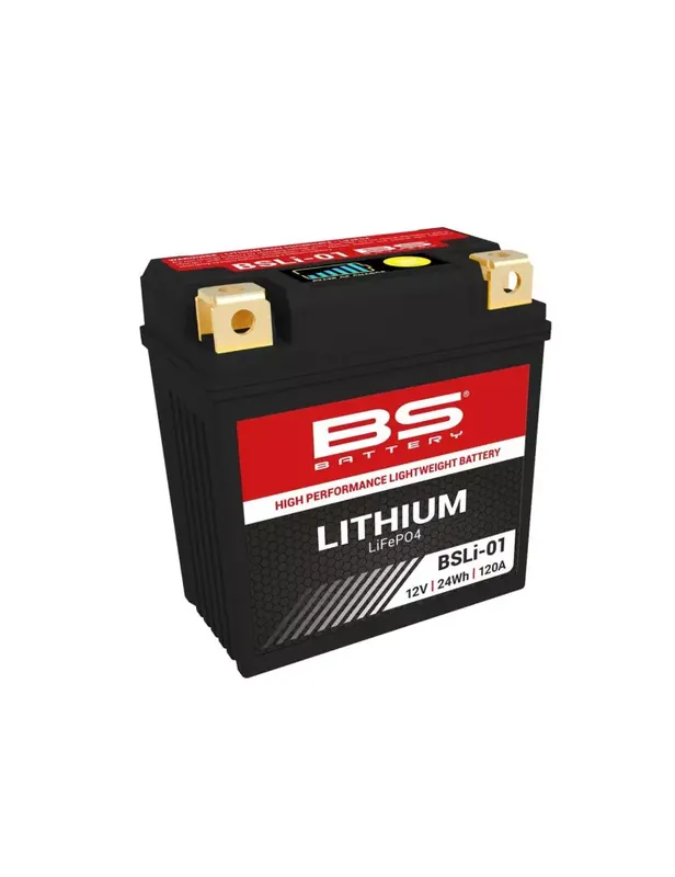 Populaire Batterie BS BATTERY BSLI-01 (LFP01) Lithium-ion