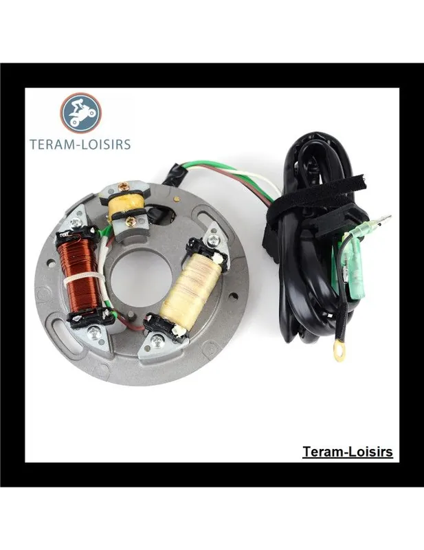 Stator Alternateur pour Yamaha WB 800 de 1999 2000 NEUF Solde