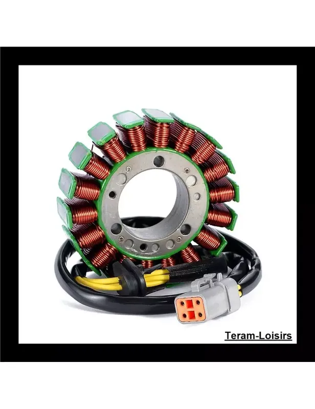 Petit Prix Stator Allumage pour Can-am Renegade 800 R de 2009 à 2015