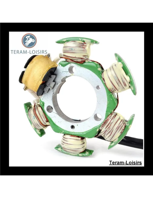 Stator Alternateur pour Yamaha Waverunner XL 1200 à partir de 1998 NEUF Populaire