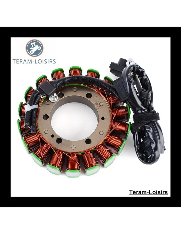 Expédition Rapide Stator Alternateur pour Arctic Cat Wildcat 1000 LATE BUILD à partir de 2013 NEUF