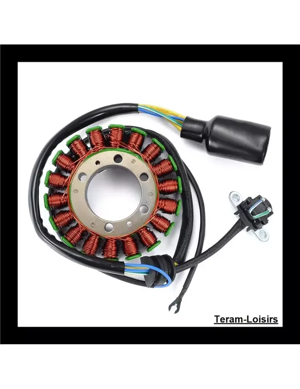 Stator Allumage pour Yamaha XT 660 XT660X à partir de 2014 Acheter Direct